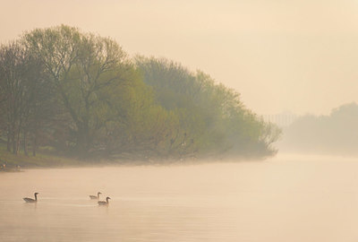 BUITEN BEELD Foto: 352360