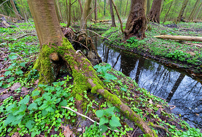 BUITEN BEELD Foto: 352362