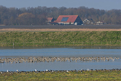 BUITEN BEELD Foto: 352553