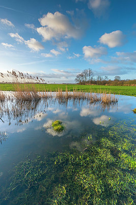 BUITEN BEELD Foto: 352593