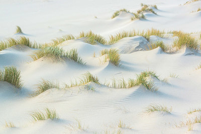 BUITEN BEELD Foto: 352637