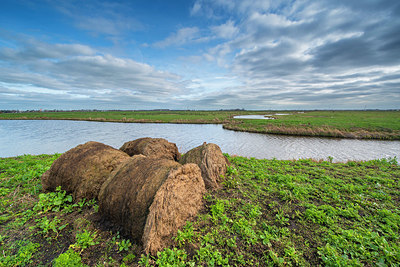 BUITEN BEELD Foto: 352657