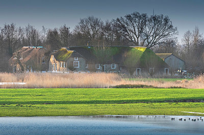 BUITEN BEELD Foto: 352660