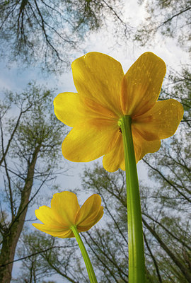 BUITEN BEELD Foto: 352667