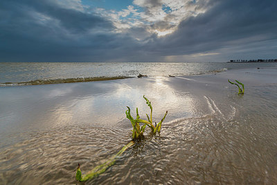 BUITEN BEELD Foto: 352869