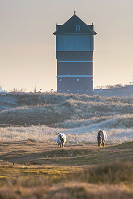 BUITEN BEELD Foto: 352873