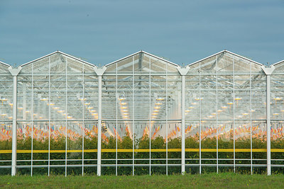 BUITEN BEELD Foto: 352881