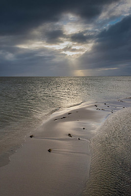 BUITEN BEELD Foto: 352882