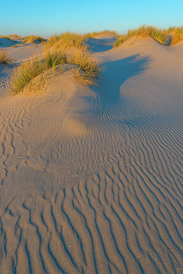 BUITEN BEELD Foto: 352954