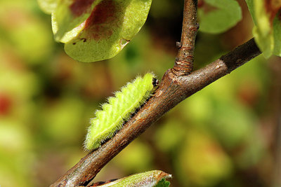 BUITEN BEELD Foto: 353038