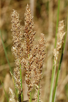 BUITEN BEELD Foto: 353040