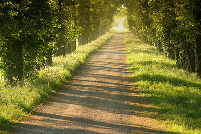 BUITEN BEELD Foto: 353127