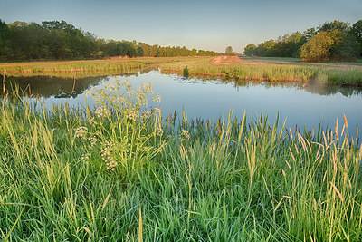 BUITEN BEELD Foto: 353148