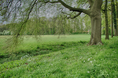 BUITEN BEELD Foto: 353152