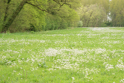 BUITEN BEELD Foto: 353155