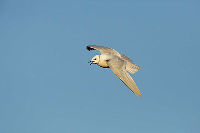 BUITEN BEELD Foto: 353164