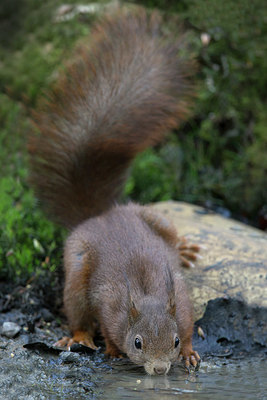 BUITEN BEELD Foto: 353171