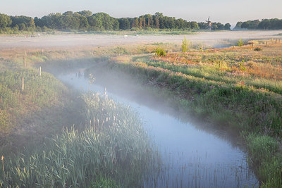BUITEN BEELD Foto: 353257