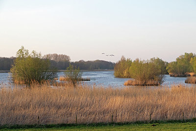 BUITEN BEELD Foto: 353310