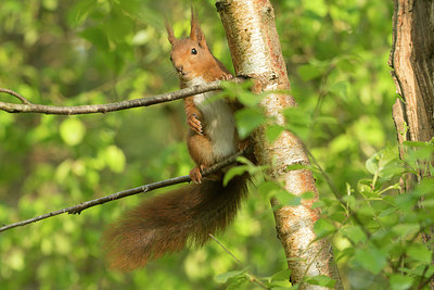 BUITEN BEELD Foto: 353467
