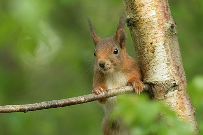BUITEN BEELD Foto: 353470