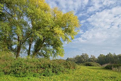 BUITEN BEELD Foto: 353595