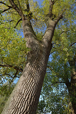 BUITEN BEELD Foto: 353630