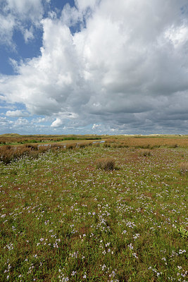 BUITEN BEELD Foto: 353638