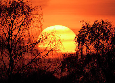 BUITEN BEELD Foto: 353647