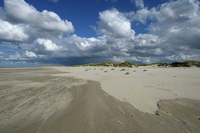 BUITEN BEELD Foto: 353672