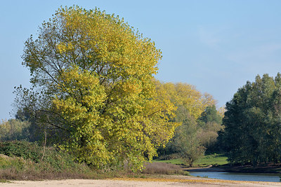 BUITEN BEELD Foto: 353677