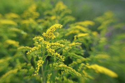 BUITEN BEELD Foto: 353682