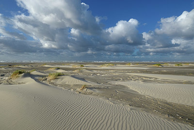 BUITEN BEELD Foto: 353687