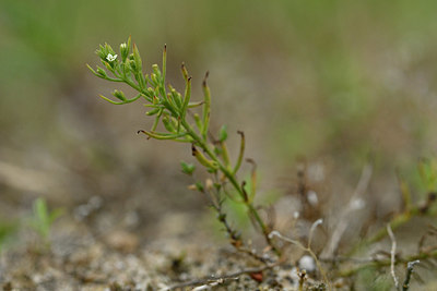 BUITEN BEELD Foto: 353718