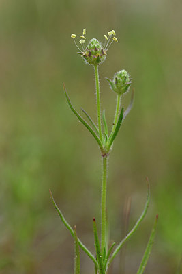 BUITEN BEELD Foto: 353721