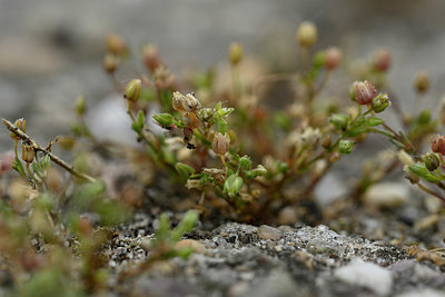 BUITEN BEELD Foto: 353726
