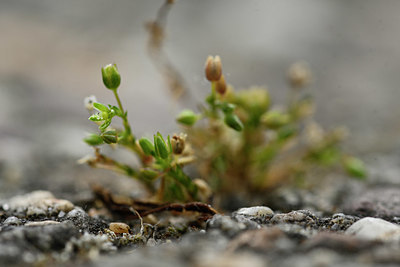 BUITEN BEELD Foto: 353730