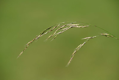 BUITEN BEELD Foto: 353854