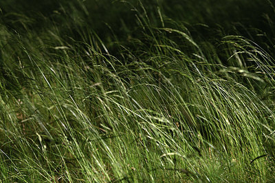 BUITEN BEELD Foto: 353855