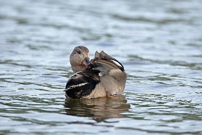 BUITEN BEELD Foto: 353867