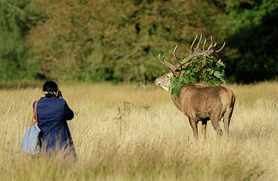 BUITEN BEELD Foto: 353885