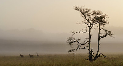 BUITEN BEELD Foto: 353889