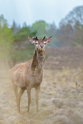 BUITEN BEELD Foto: 353894