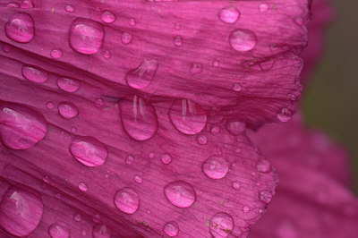 BUITEN BEELD Foto: 354036