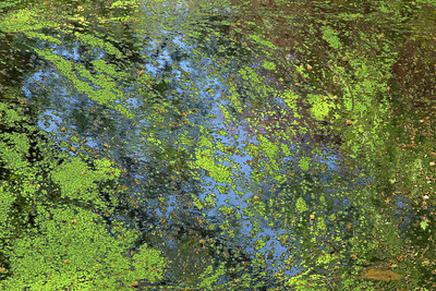 BUITEN BEELD Foto: 354037