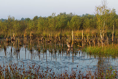 BUITEN BEELD Foto: 354126