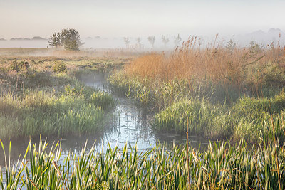 BUITEN BEELD Foto: 354133