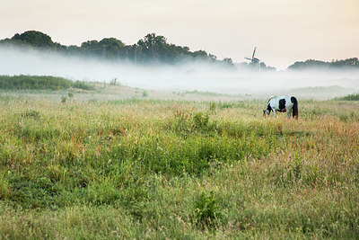 BUITEN BEELD Foto: 354157