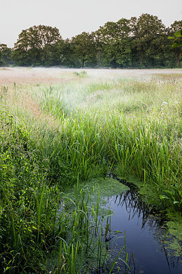 BUITEN BEELD Foto: 354160