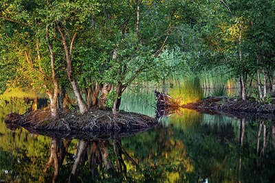 BUITEN BEELD Foto: 354165